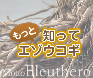 もっと知ってエゾウコギ