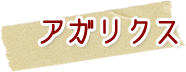 アガリクスとは