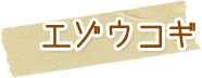 エゾウコギとは