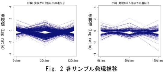 image113_3