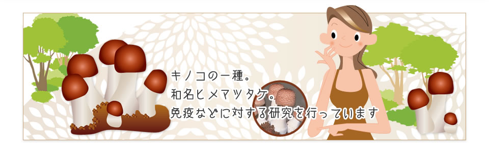 キノコの一種。和名ヒメマツタケ。免疫などに対する研究を行っています。