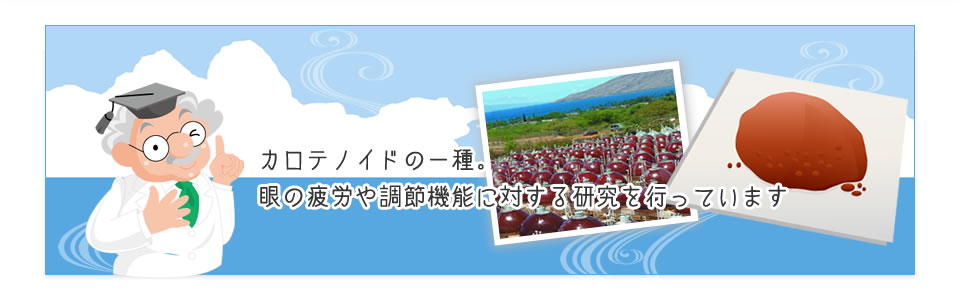 カロテノイドの一種。目の疲労や調節機能に対する研究を行っています。