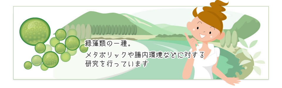 緑藻類の一種。メタボリックや腸内環境などに対する研究を行っています。