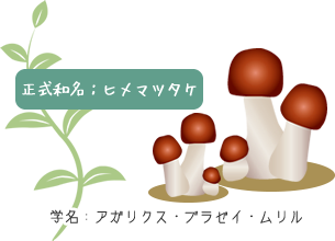 p_02