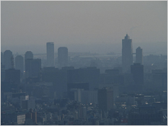 ビタミンB群は、大気汚染から心臓を守ってくれる