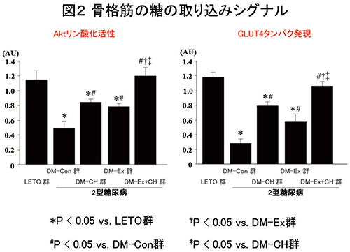 d5d5e396e07615f3b2206f200012e728-2