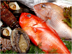 魚のオメガ3脂肪酸が慢性腎臓病のリスクを下げる